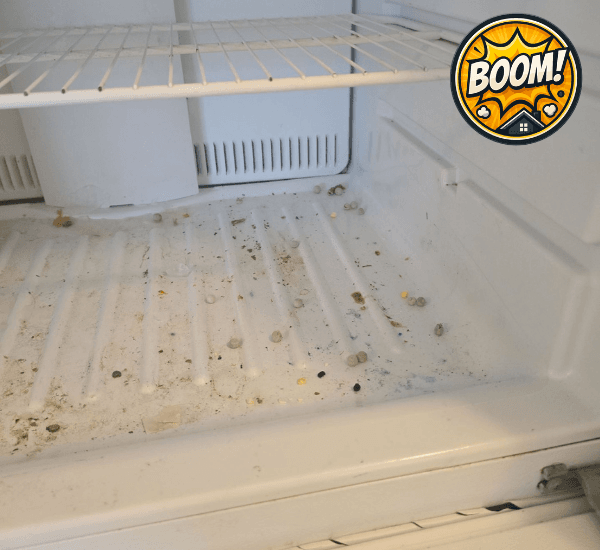 Inside of a freezer during move-out