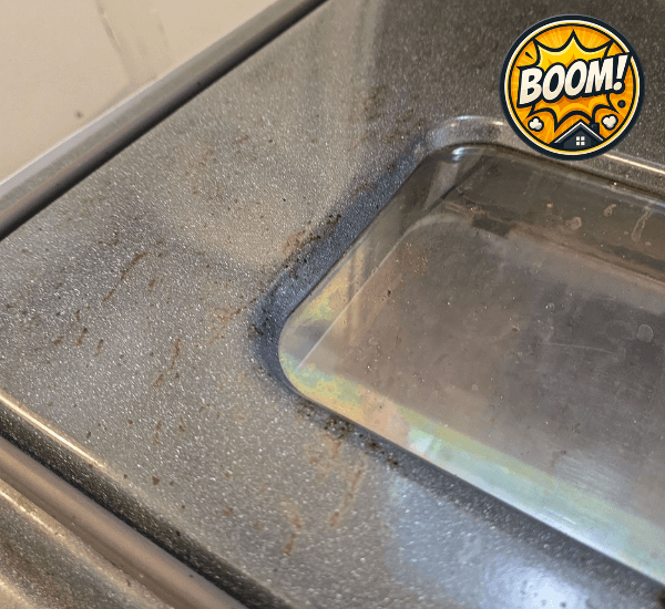 dirty oven move out