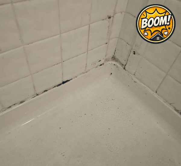 dirty shower move-out